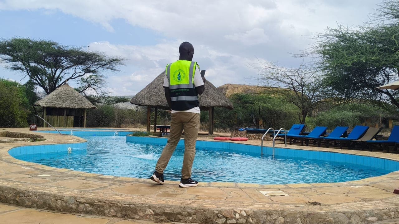 Swimming pool construction